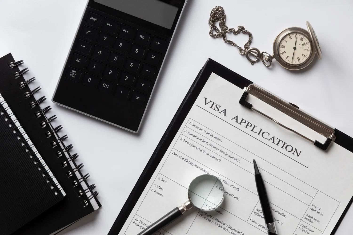 VISA APPLICATION & INTERVIEW: COMPLETE PREPARATION GUIDE
